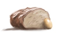 brot_resized